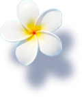Object Flower 1